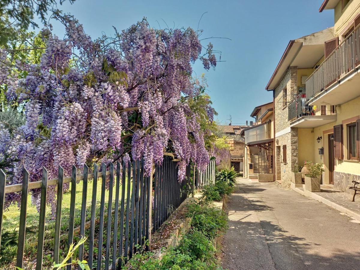 B&B Torrematta Ассізі Екстер'єр фото